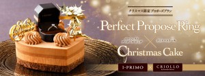 2016PPR＆クリスマスケーキ