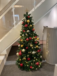 クリスマスツリーを飾りました！