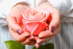 薔薇(バラ)の花言葉は?本数・色・部位ごとの意味など詳しくご紹介!_8