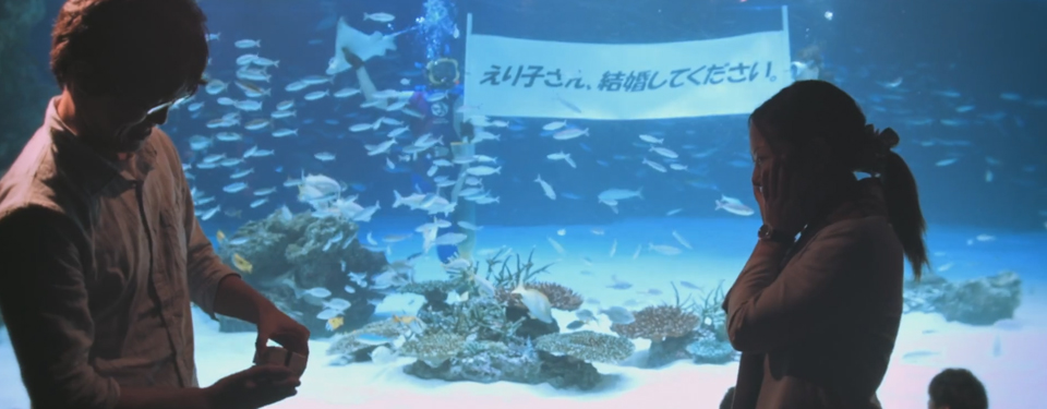 天空のオアシスプロポーズ