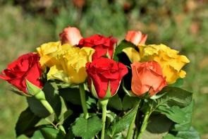これさえ抑えれば間違いなし！バラの花束を添えたロマンチックなプロポーズ