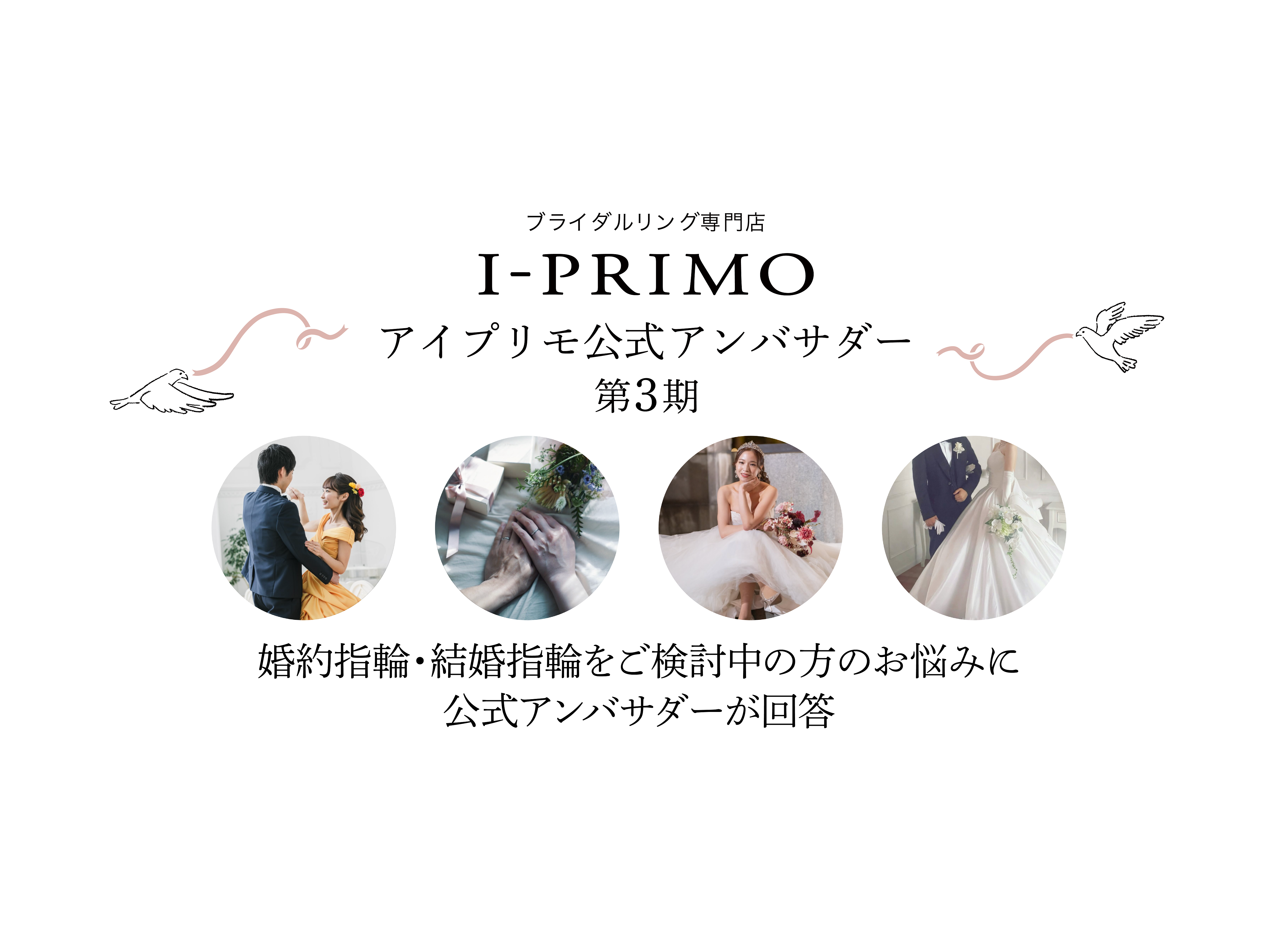 アイプリモ公式アンバサダー第3期の皆さんにプレ花嫁さんからの質問にお答えいただきました！